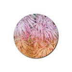 Fineleaf Japanese Maple highlights Rubber Round Coaster (4 pack)  Front