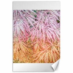 Fineleaf Japanese Maple Highlights Canvas 24  X 36  by Riverwoman