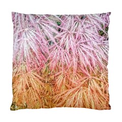 Fineleaf Japanese Maple Highlights Standard Cushion Case (one Side) by Riverwoman