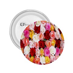 Roses Color Beautiful Flowers 2 25  Buttons