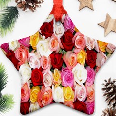 Roses Color Beautiful Flowers Ornament (star)