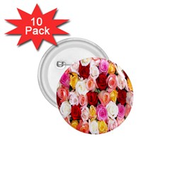 Roses Color Beautiful Flowers 1 75  Buttons (10 Pack)