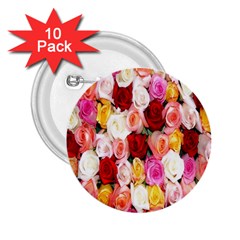 Roses Color Beautiful Flowers 2 25  Buttons (10 Pack) 