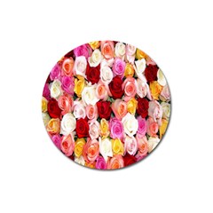 Roses Color Beautiful Flowers Magnet 3  (round)