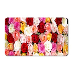 Roses Color Beautiful Flowers Magnet (rectangular)