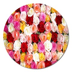 Roses Color Beautiful Flowers Magnet 5  (round)