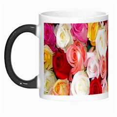 Roses Color Beautiful Flowers Morph Mugs by BangZart