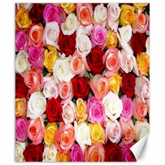 Roses Color Beautiful Flowers Canvas 20  X 24 