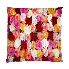 Roses Color Beautiful Flowers Standard Cushion Case (two Sides)