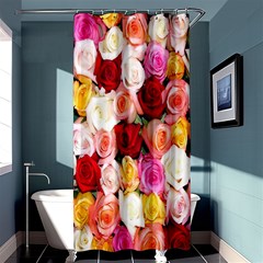 Roses Color Beautiful Flowers Shower Curtain 36  X 72  (stall) 