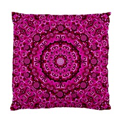 Happy Florals  Giving  Peace And Great Feelings Standard Cushion Case (one Side) by pepitasart