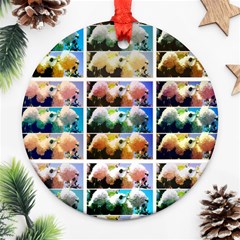 Twenty-seven Snowball Branch Collage Round Ornament (two Sides) by okhismakingart