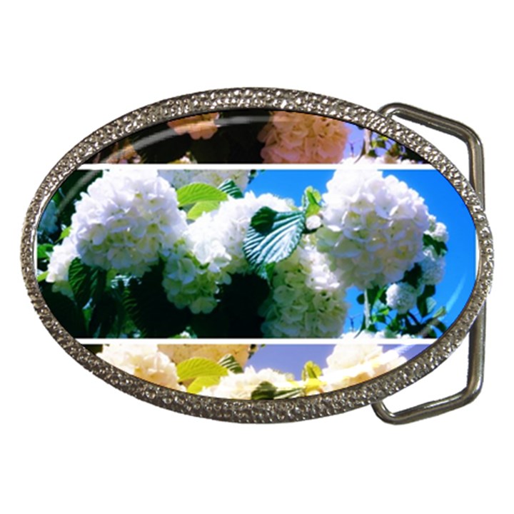 Snowball Branch Collage (I) Belt Buckles