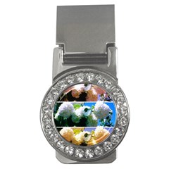 Snowball Branch Collage (i) Money Clips (cz)  by okhismakingart