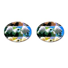 Snowball Branch Collage (i) Cufflinks (oval) by okhismakingart