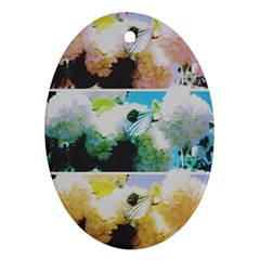 Faded Snowball Branch Collage (ii) Ornament (oval) by okhismakingart