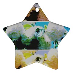 Faded Snowball Branch Collage (ii) Star Ornament (two Sides) by okhismakingart