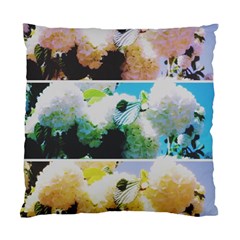 Faded Snowball Branch Collage (ii) Standard Cushion Case (one Side) by okhismakingart