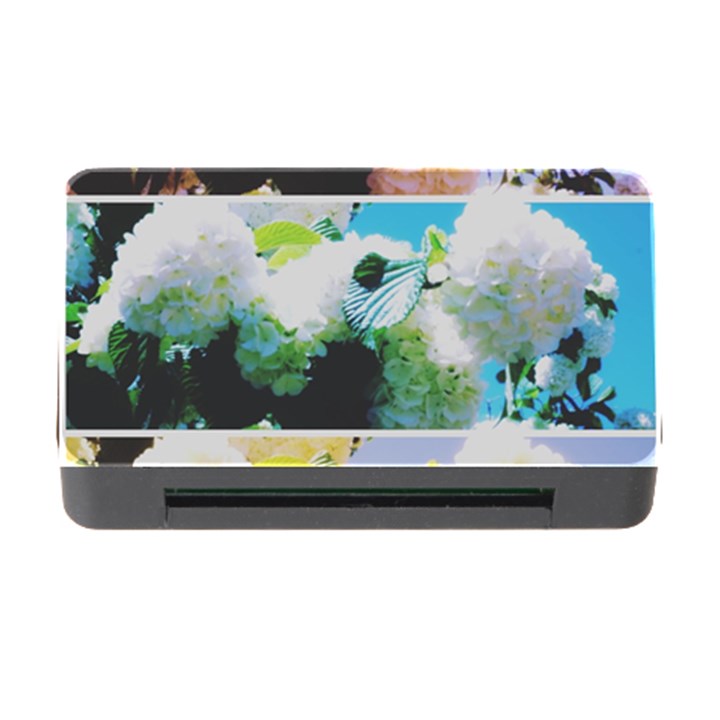 Faded Snowball Branch Collage (II) Memory Card Reader with CF