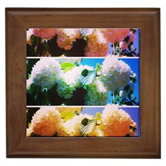 Bright Snowball Branch Collage (iii) Framed Tiles by okhismakingart