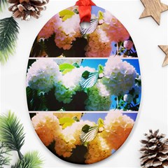 Bright Snowball Branch Collage (iii) Ornament (oval) by okhismakingart