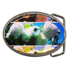 Bright Snowball Branch Collage (iii) Belt Buckles by okhismakingart