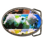 Bright Snowball Branch Collage (III) Belt Buckles Front