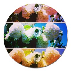 Bright Snowball Branch Collage (iii) Magnet 5  (round) by okhismakingart