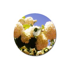 Yellow Snowball Branch Magnet 3  (round) by okhismakingart