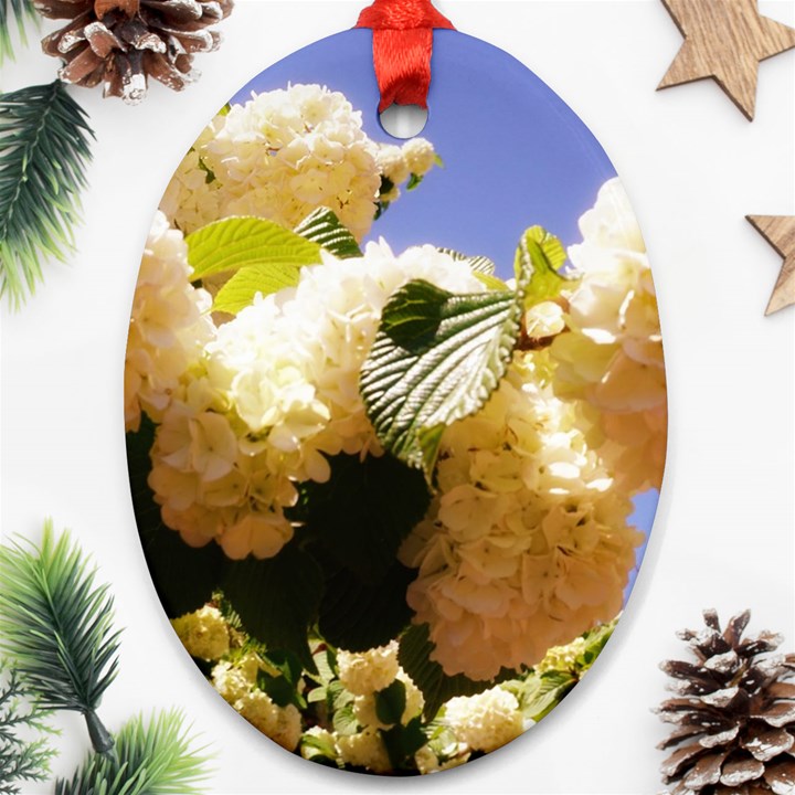 Yellow Snowball Branch Oval Ornament (Two Sides)