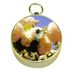 Yellow Snowball Branch Gold Compasses by okhismakingart