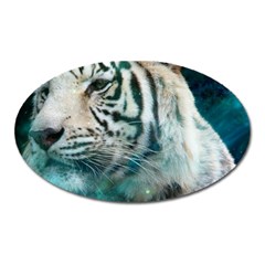 White Tiger Oval Magnet by snowwhitegirl