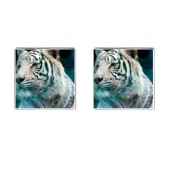 White Tiger Cufflinks (square) by snowwhitegirl