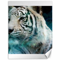 White Tiger Canvas 36  X 48 