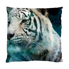 White Tiger Standard Cushion Case (two Sides) by snowwhitegirl