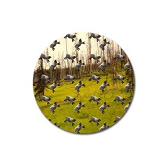 Flying Sheep Magnet 3  (round) by snowwhitegirl