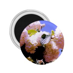 Pink Snowball Branch  2 25  Magnets by okhismakingart