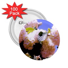 Pink Snowball Branch  2 25  Buttons (100 Pack)  by okhismakingart