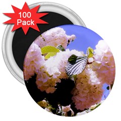 Pink Snowball Branch  3  Magnets (100 Pack) by okhismakingart