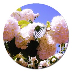 Pink Snowball Branch  Magnet 5  (round) by okhismakingart