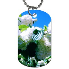 Blue Snowball Branch Dog Tag (two Sides) by okhismakingart