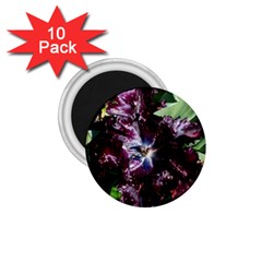 Galaxy Tulip 1 75  Magnets (10 Pack)  by okhismakingart