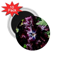 Galaxy Tulip 2 25  Magnets (10 Pack)  by okhismakingart