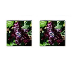 Galaxy Tulip Cufflinks (square) by okhismakingart