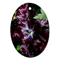 Galaxy Tulip Oval Ornament (two Sides) by okhismakingart