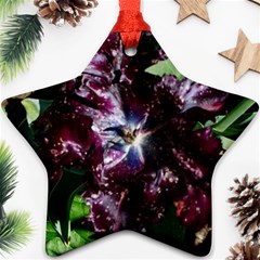 Galaxy Tulip Star Ornament (two Sides) by okhismakingart