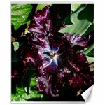 Galaxy Tulip Canvas 11  x 14  10.95 x13.48  Canvas - 1