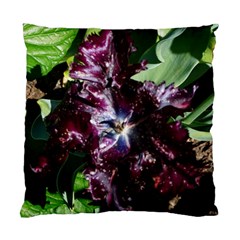 Galaxy Tulip Standard Cushion Case (one Side) by okhismakingart