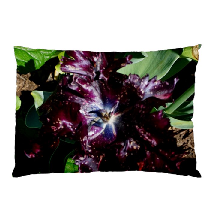 Galaxy Tulip Pillow Case