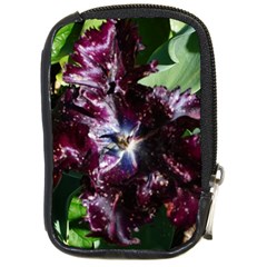 Galaxy Tulip Compact Camera Leather Case by okhismakingart